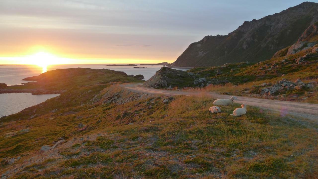 Lovely 3 Rooms Apartment For Holiday In Nyksund Exterior foto